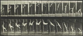 EADWEARD MUYBRIDGE (1830-1904) Pole vaulter, plate 165 * Shot putter, plate 808, from Animal Locomotion.